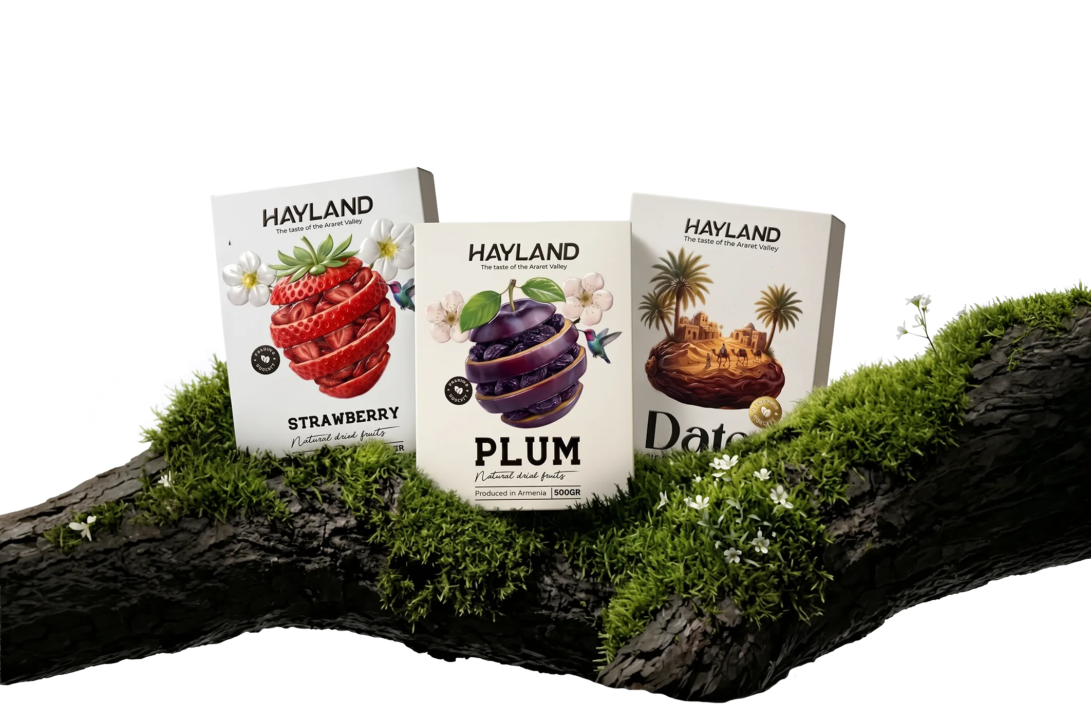 Hayland dried fruit boxes on a mossy branch